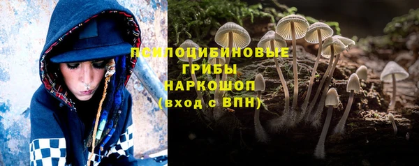 эйфоретик Ладушкин