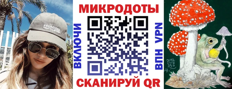 mega   Обоянь  Псилоцибиновые грибы прущие грибы 