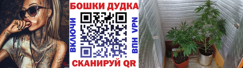 Бошки Шишки White Widow  Обоянь 